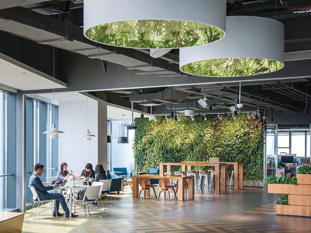 10 Mẫu thiết kế văn phòng mang thiên nhiên vào tận chỗ làm việc